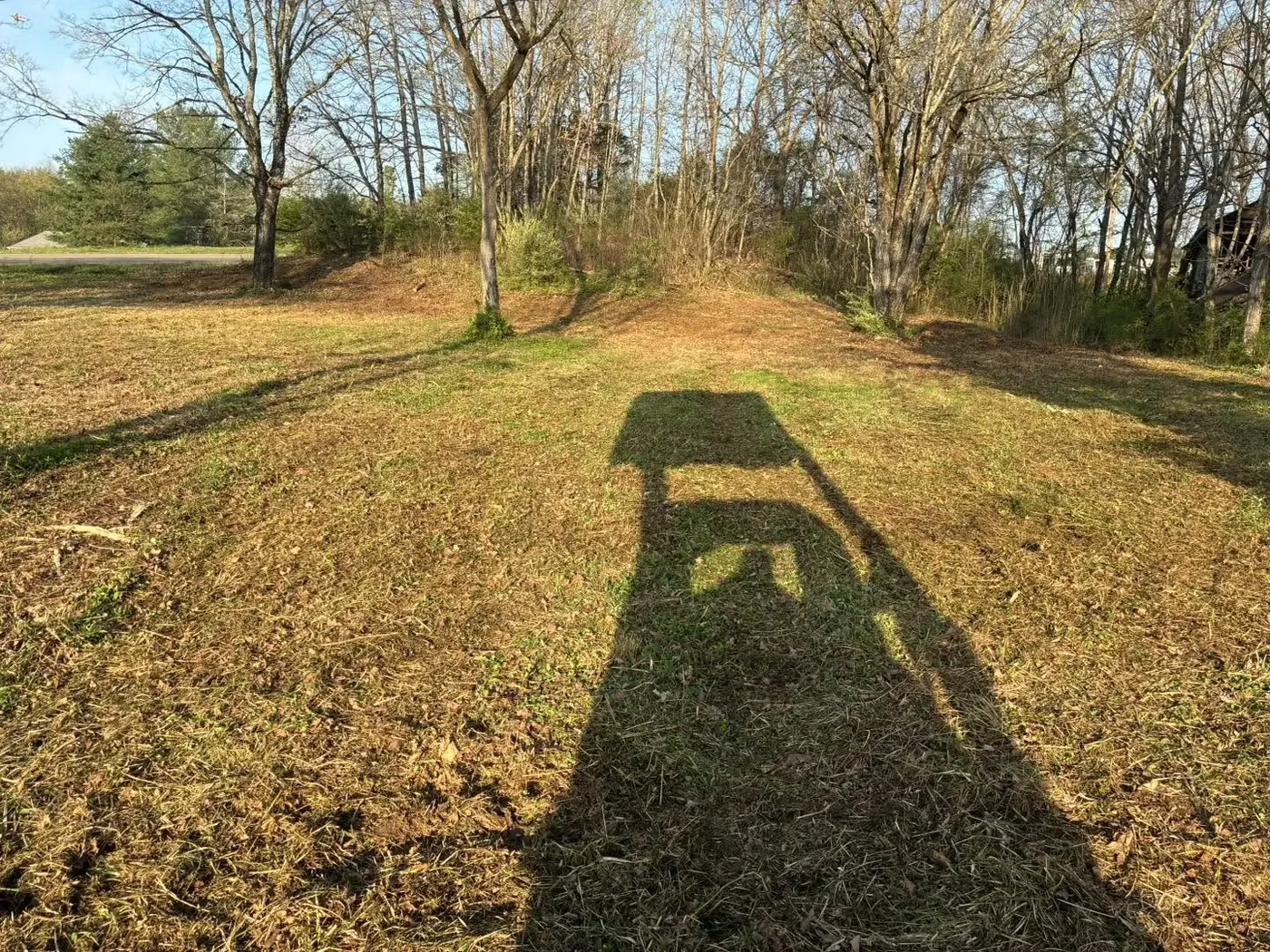 Overgrown roadside lot cleared and mulched in Jefferson County, TN