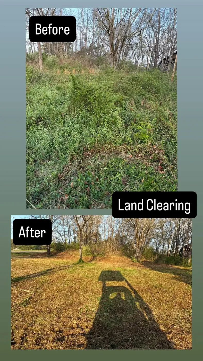Before and after land clearing of an overgrown bank in Jefferson County, TN